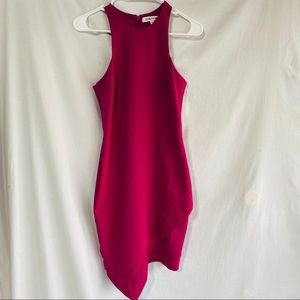 Elizabeth and James Fuscia Skin Tight Dress